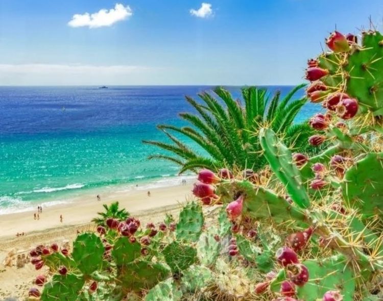 lesensazionidivivereafuerteventura Le sensazioni di vivere a Fuerteventura